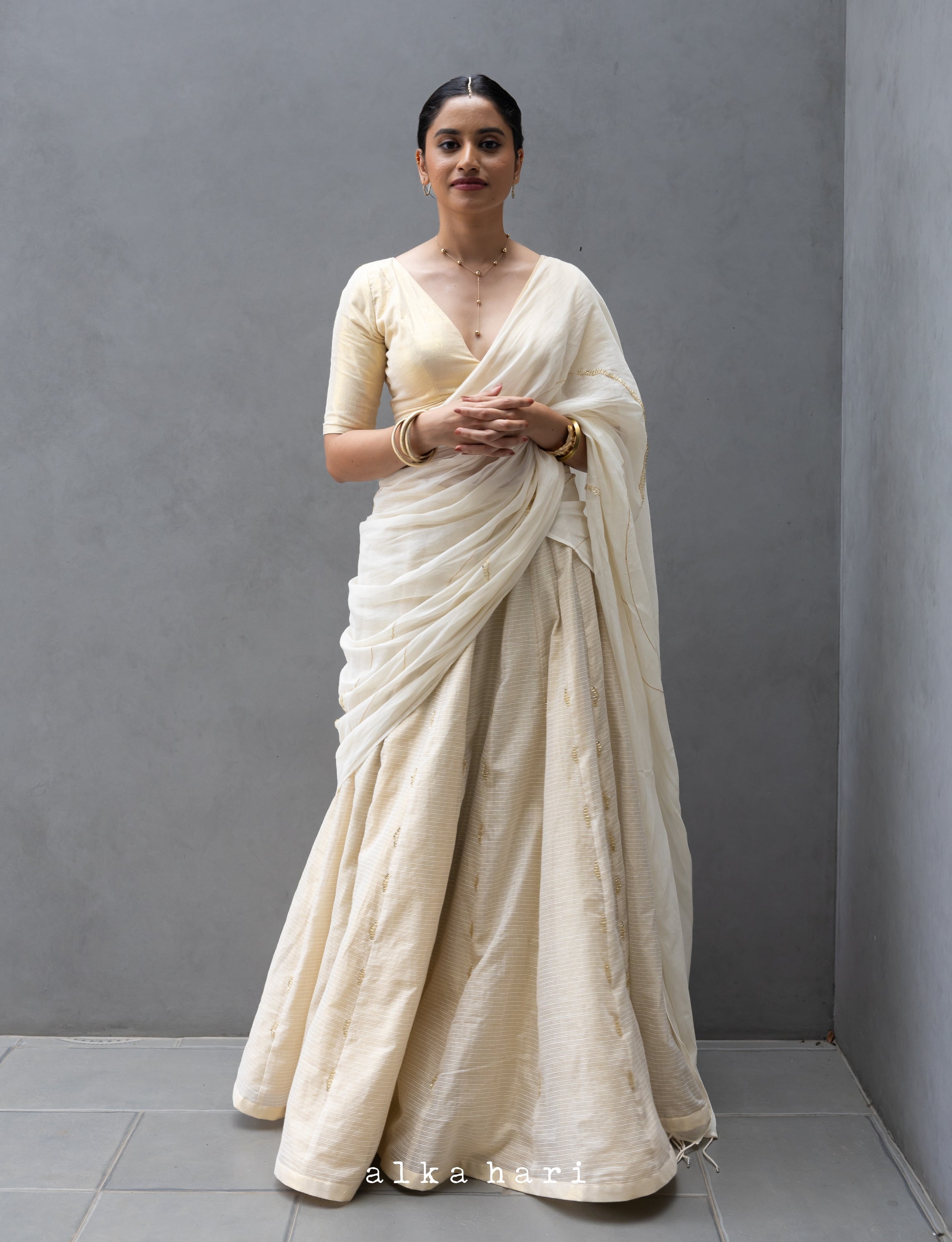 Panelled Skirt with Hand Embroidered Dupatta