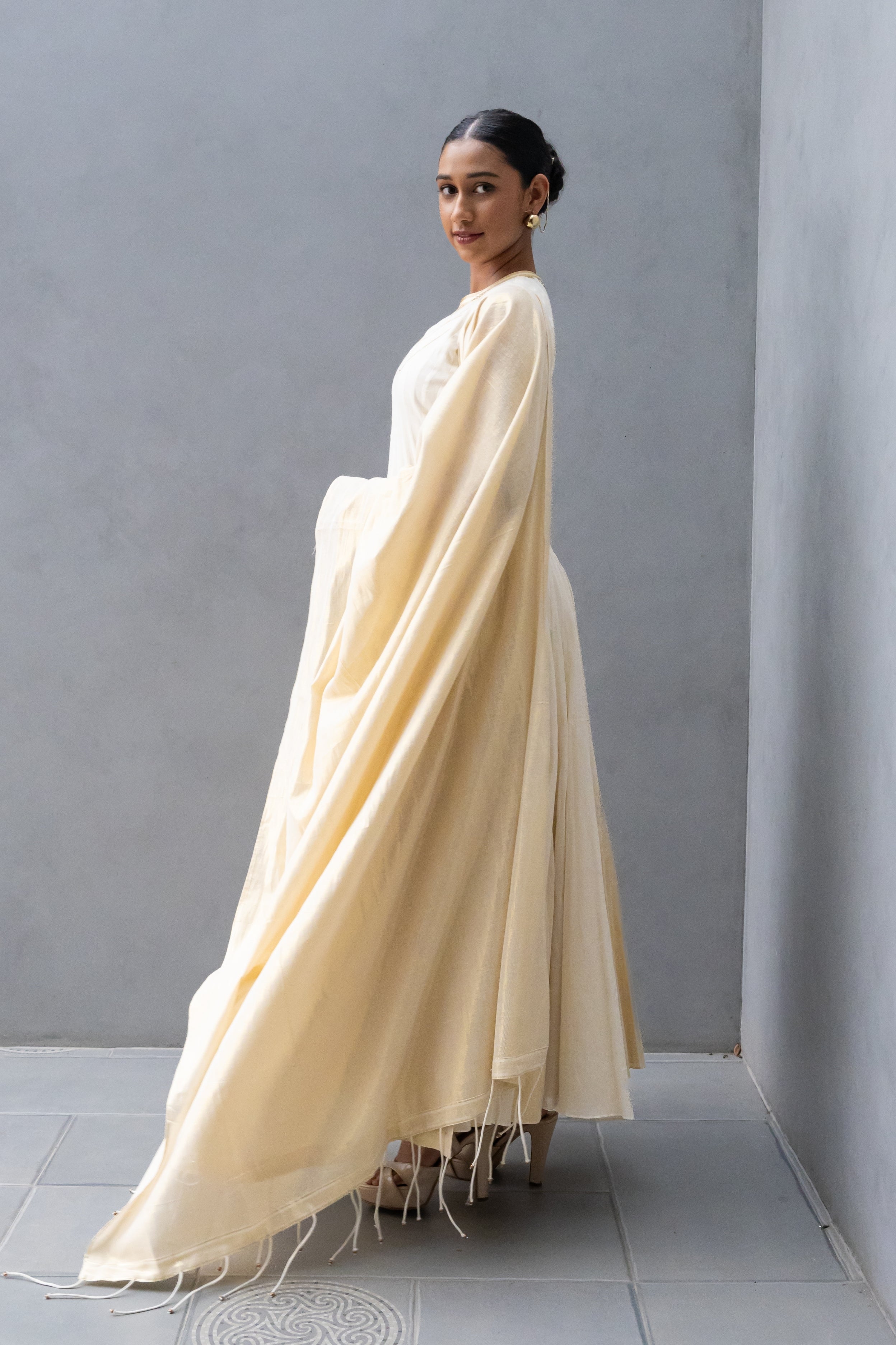 Panelled Anarkali with Godet Flare and Closed Neckline