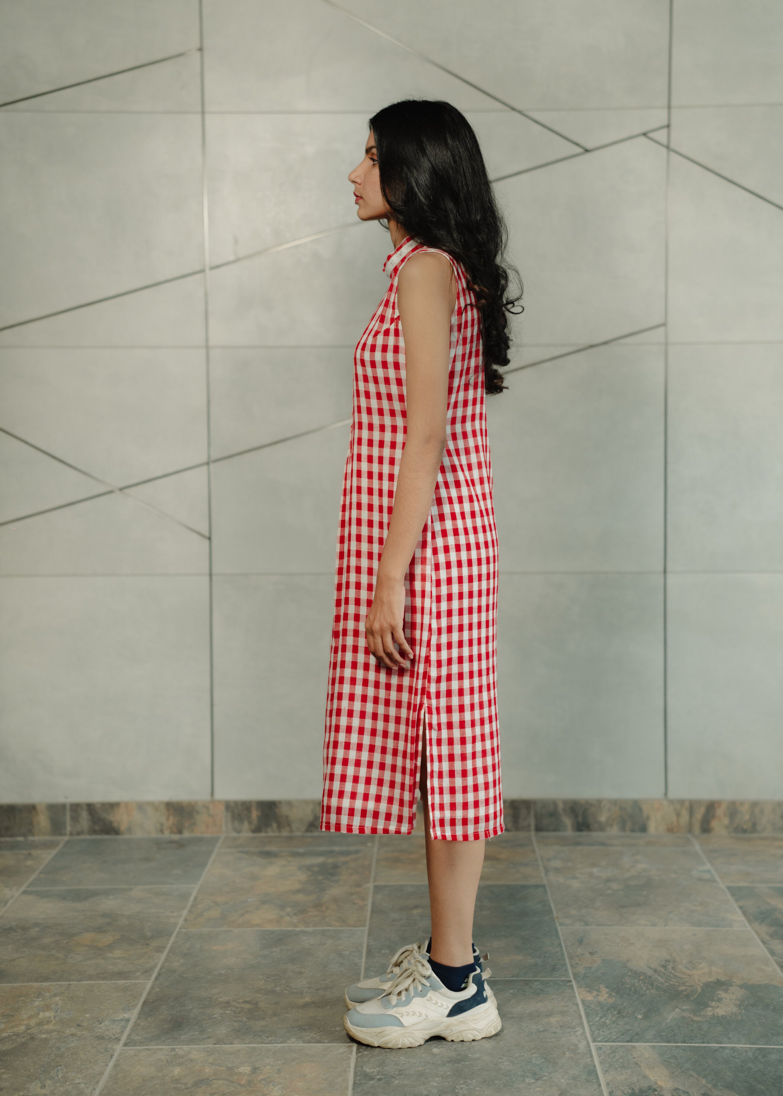 Red and White Gingham Dress