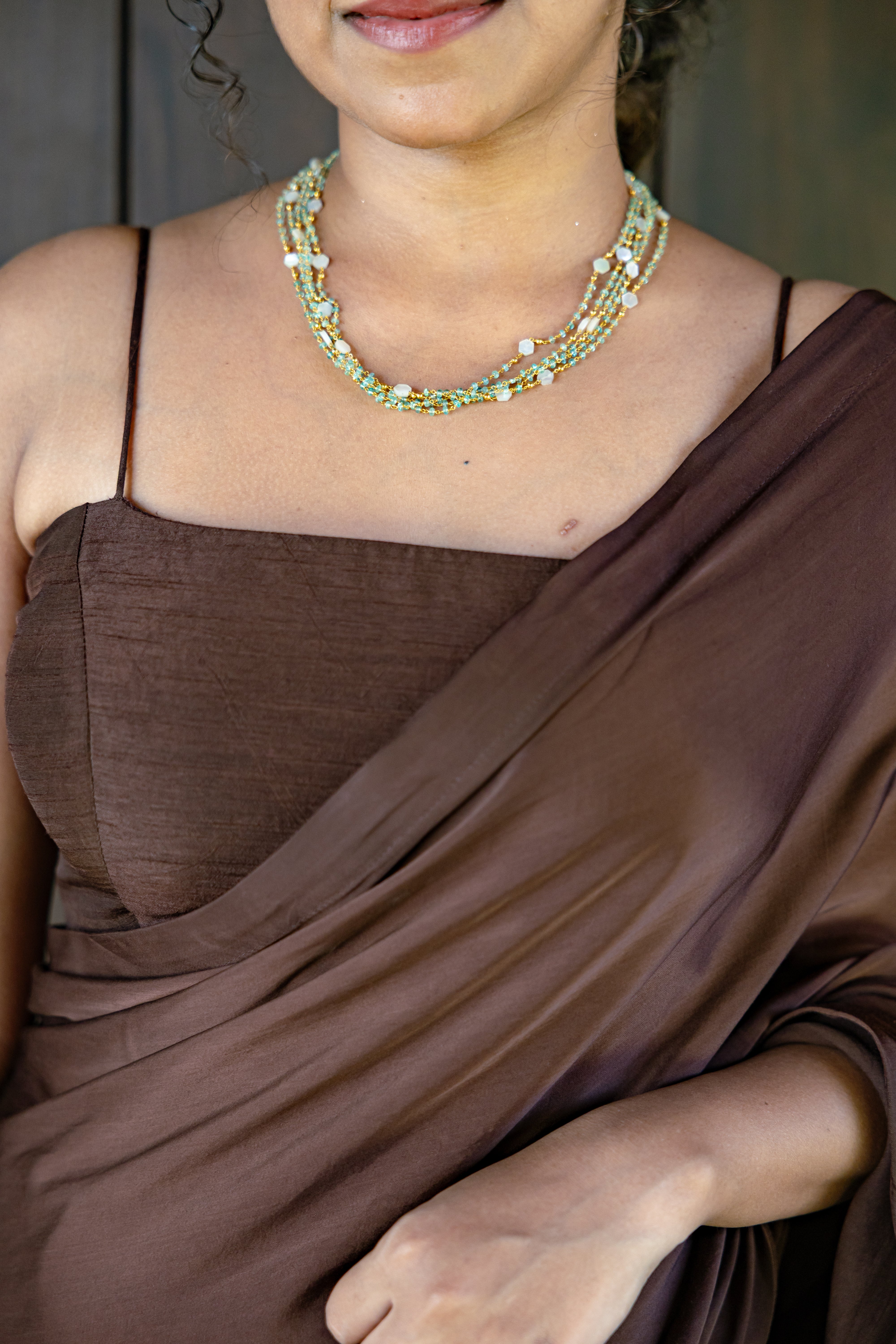 Brown Embroidered Saree